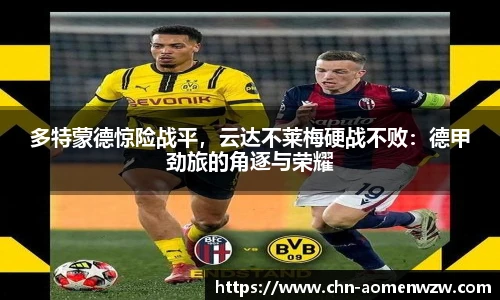 王中王资料大全